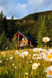 Deer Lodge
