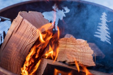 Bear Lodge Firepit